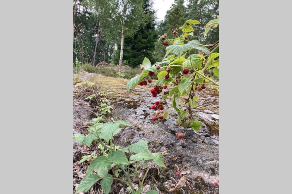 Cabin In The Woods, Close To Lake Maelaren エスキルスチュナ エクステリア 写真